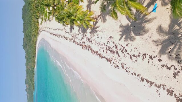 Aerial View Of White Sandy Beach With Tropical Palm Trees In Playa Rincon, Dominican Republic. - vertical