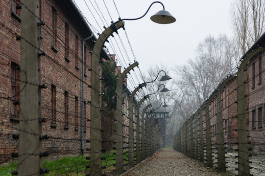 Barbed wire fence of Auschwitz nazi concentration camp