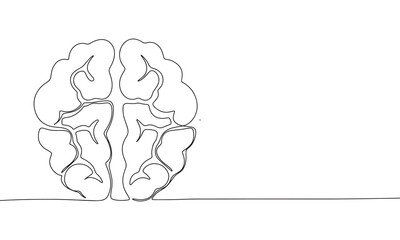 Brain isolated on white background. Line art brain. One line continuous vector illustration. 