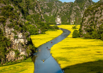 Fototapeta na wymiar People travel on boats along the paddy field in Tam Coc, Vietnam. This is a very famous sightseeing, also called 