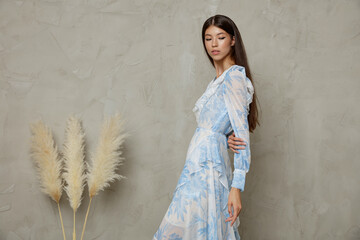 High fashion photo of a beautiful elegant young asian woman in pretty blue dress with the floral pattern. sandy beige textured wall, dry branches.