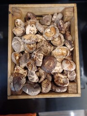 A Box of Groceries Mushrooms