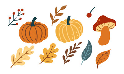 autumn leaves and pumpkins illustration