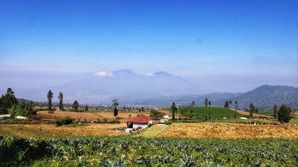Obraz premium vegetable farming land at the foot of the hill withblue sky background