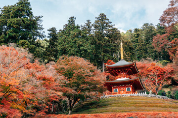 Fototapeta na wymiar Autumn of Katsuo-ji temple in Minoh, Osaka, Japan