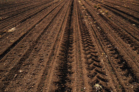 Tractor tyre tracks in plowed field soil