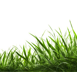 Side view grass template, generative ai generated