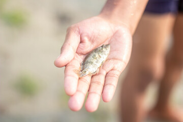 A young man holds a fish and its background blur