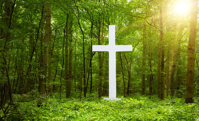 Cross in forest . Easter background concept and The crosses sign.