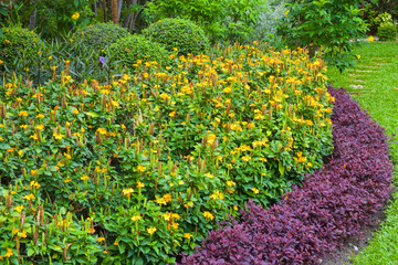 Beautiful landscaping in Chatuchak Park, Bangkok, Thailand
