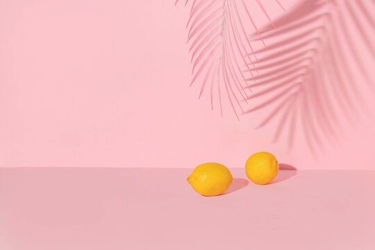 Summer creative layout with lemons and palm tree shadow on pink background. 80s or 90s retro aesthetic idea. Minimal summer fruit idea.