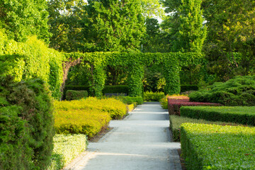 beautiful urban summer park in sunlight