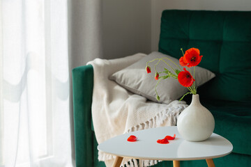 Fototapeta na wymiar red poppies in vase in modern cozy interior with green coach