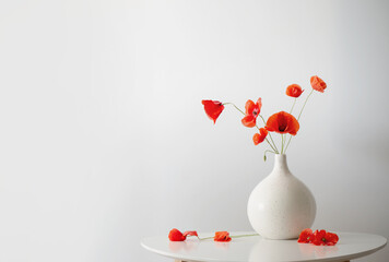 red poppies in vase on white background