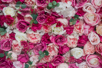 Flower wall background with pink roses.