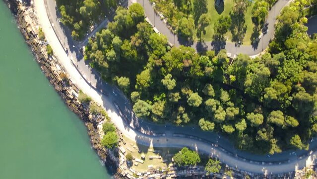 Aerial drone top down view of Barangaroo Reserve along Barangaroo waterfront precinct in Sydney City, NSW Australia on a sunny morning in May 2023     
