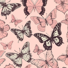 Fototapeta na wymiar butterfly wings on pink: a subtle design for dreamy environments
