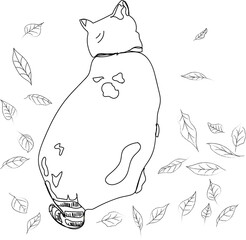 cat autumn illustration
