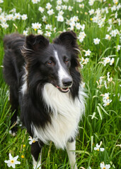 Foto scattata attorno alle colline di Roccaforte Ligure.
