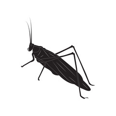 grasshopper icon