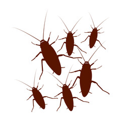 cockroach icon