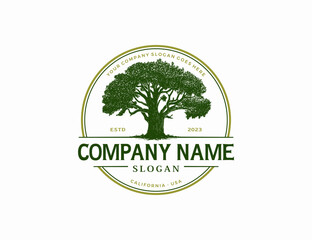 Vintage oak tree logo design vector