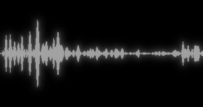 Visual white on black representation of sound wave.