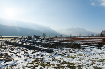 Fototapety na wymiar - Fototapeta24.pl