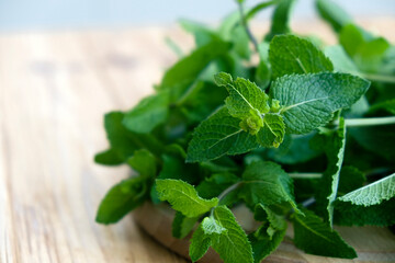 Fresh mint leaves close-up on wooden background.