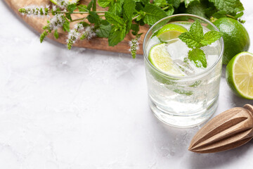 Mojito cocktail ingredients and drinks utensils