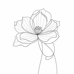 Beautiful Flower Minimal Line Art Illustration