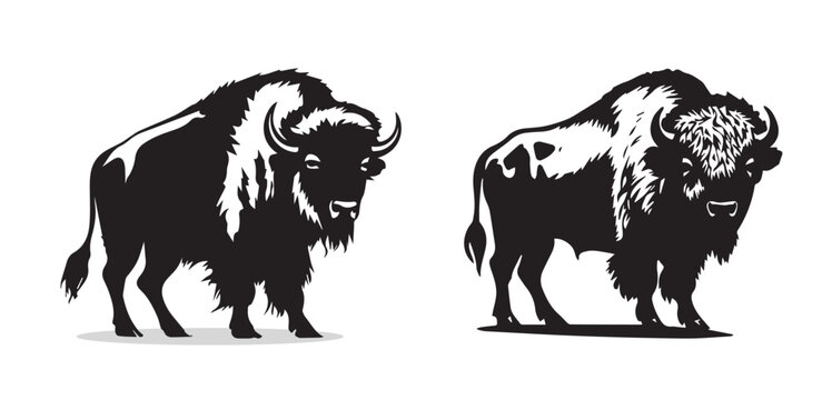 Set of American Bison Silhouettes. Vector Image