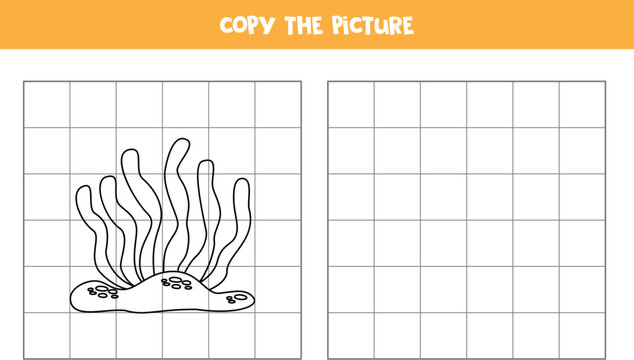 Copy the picture of black and white sea weed. Logical game for kids.