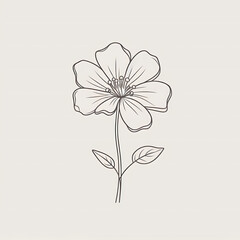 Hand Drawn Simple Flower Outline Illustration