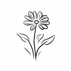 Minimalistic Calendula Flower Logo Line Art Illustration