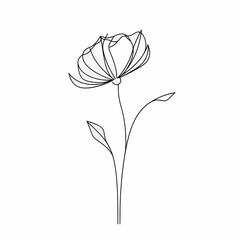 Continuous Line Art Of Flower Illustration