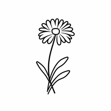 Minimalistic Calendula Flower Logo Line Art Illustration