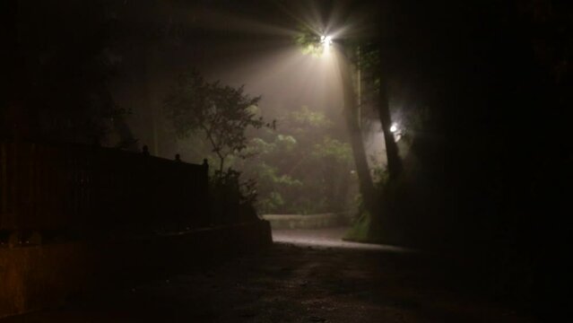 Night forest with beaming light in a mountain in Hong Kong.