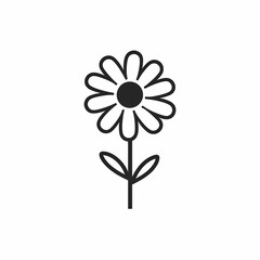 Simple Outline Of Daisy Flower Illustration