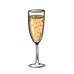 Champagne wine in glass. Hand drawn line art color in cartoon style.