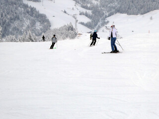 Hochmaisabfahrt -Steinbockalm