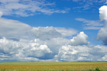 Meadow with green grass. Crimean peninsula. The sky above the flowering field