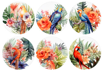 Obraz premium Beautiful watercolor set with tropical birds and flowers on a white background Generative AI