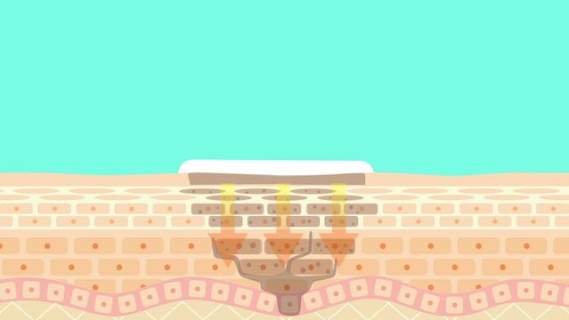 肌にシミ取りクリームを塗るアニメーション動画