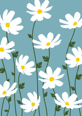 Cosmos flower background.Eps 10 vector.