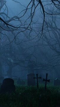 Leafless trees and graves in cemetery at night. 3d animation