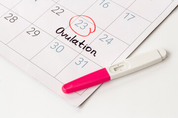 Female ovulation day on calendar with pregnancy test