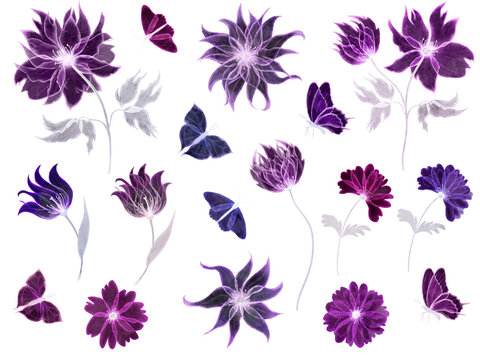Watercolor purple flowers. PNG elements for design of invitation, greeting cards