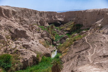 green oasis with river and palms in the canyon in iran desert