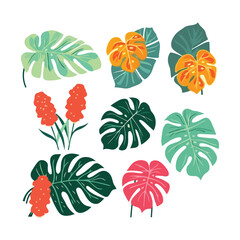 Colorful Tropical Monstera leaves with flower cartoon style Vector illustration